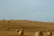 Offerta visita al sito Unesco, in hotel 3 stelle a Montalcino - Val d'Orcia