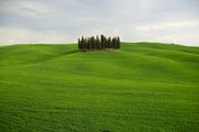 Offerta visita al sito Unesco, in agriturismo - Val d'Orcia