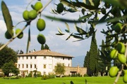 Offerta Oleum - Vicchio di Mugello