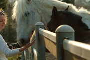 Offerta A cavallo nelle crete senesi - Buonconvento